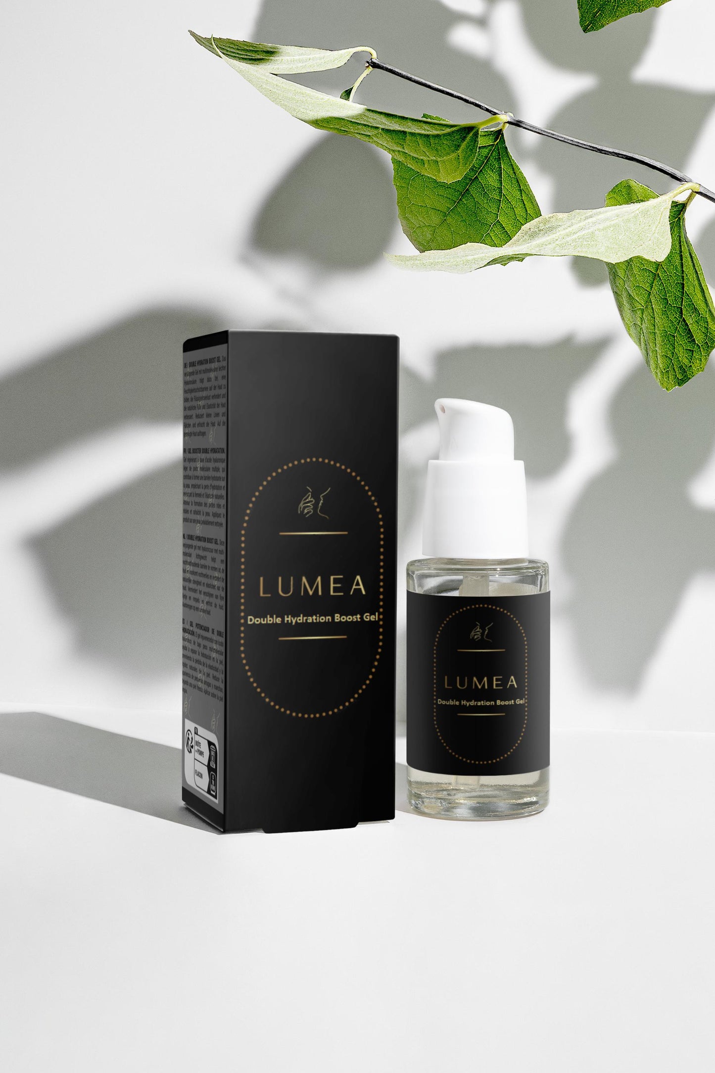 Timeless Radiance Collection Box